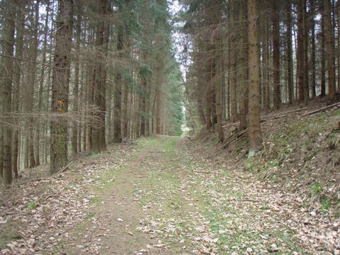 Foto 24